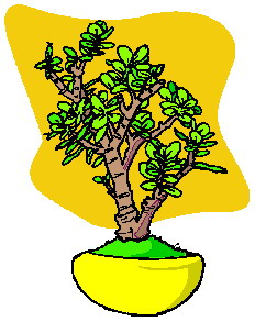 bonsai-imagem-animada-0035