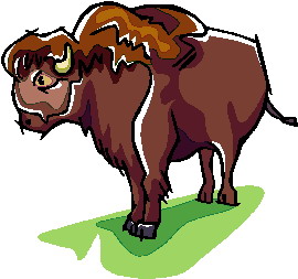 bufalo-imagem-animada-0013