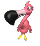 flamingo-imagem-animada-0015