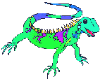 iguana-imagem-animada-0002