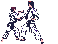 karate-imagem-animada-0056