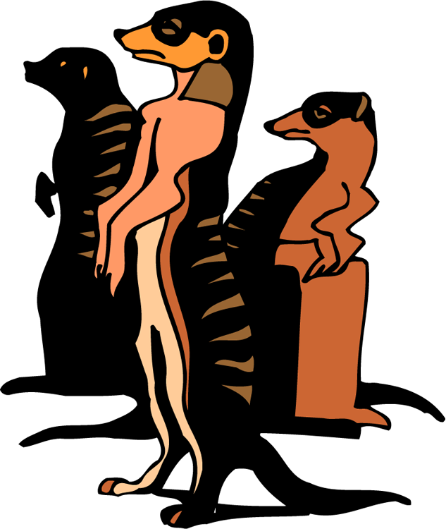 suricate-imagem-animada-0006