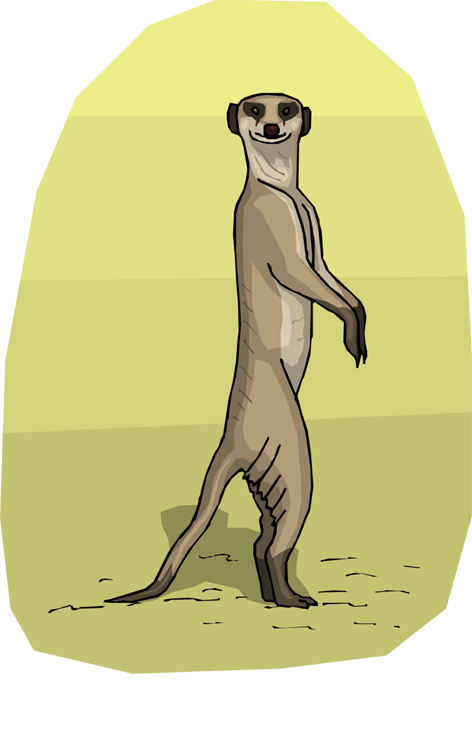 suricate-imagem-animada-0007