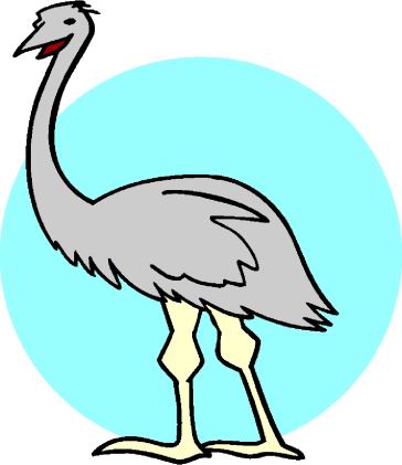 avestruz-imagem-animada-0007
