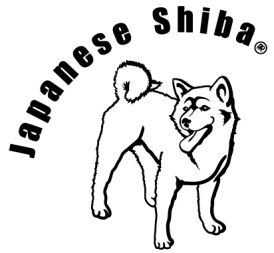 shiba-inu-imagem-animada-0029
