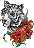 tigre-imagem-animada-0045