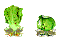 vegetal-imagem-animada-0022