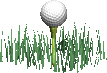 golfe-imagem-animada-0052