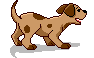 filhote-de-cachorro-imagem-animada-0029