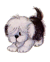 filhote-de-cachorro-imagem-animada-0053