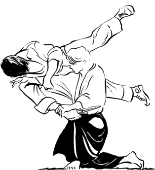 aikido-imagem-animada-0021