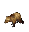 urso-imagem-animada-0699