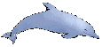 golfinho-imagem-animada-0039