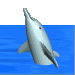 golfinho-imagem-animada-0130