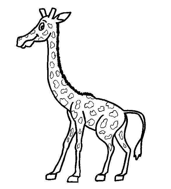 desenho-colorir-girafa-imagem-animada-0002