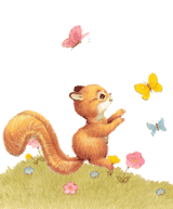 esquilo-imagem-animada-0065