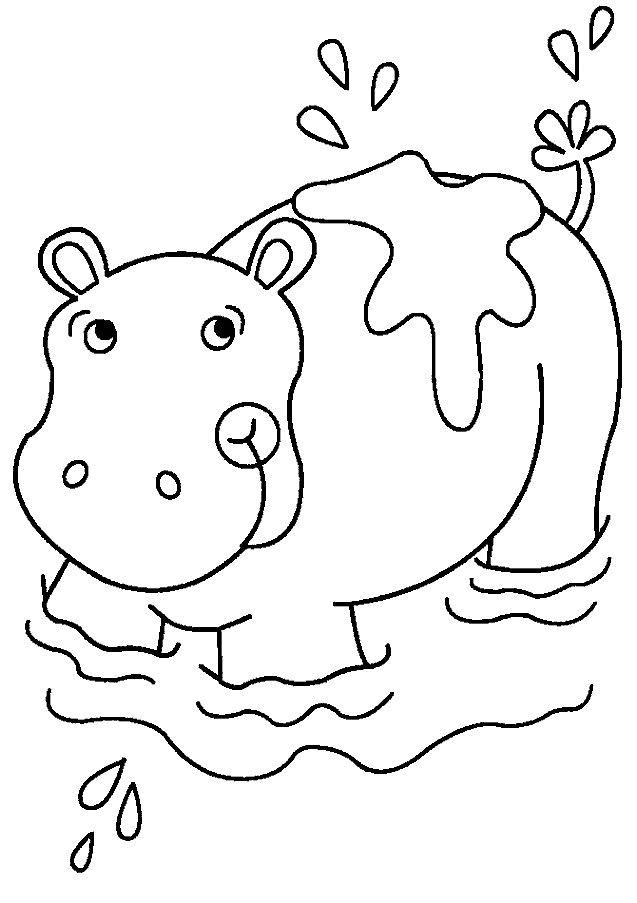 desenho-colorir-hipopotamo-imagem-animada-0009