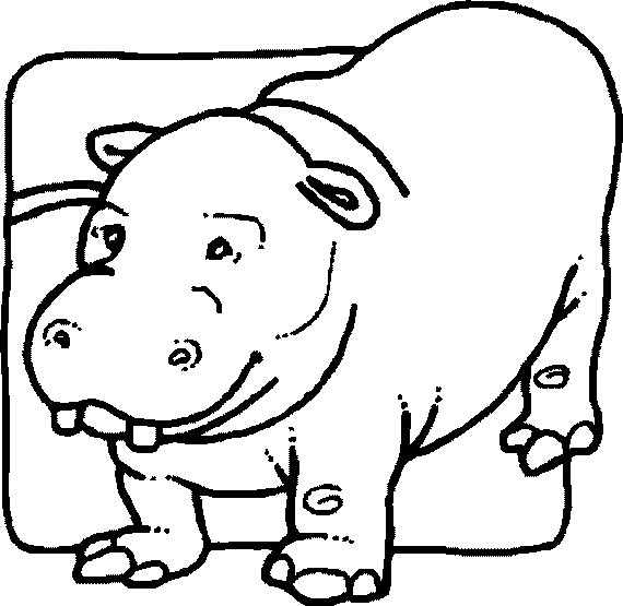 desenho-colorir-hipopotamo-imagem-animada-0010