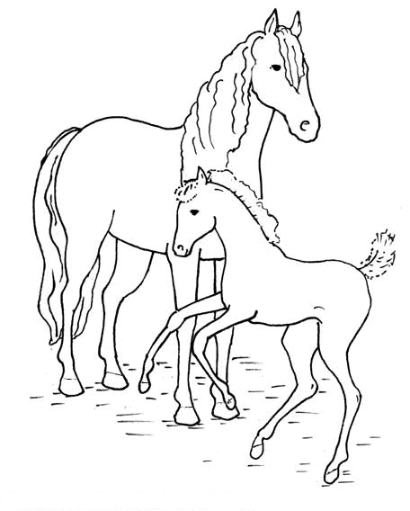 desenho-colorir-cavalo-imagem-animada-0014