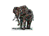 elefante-imagem-animada-0388
