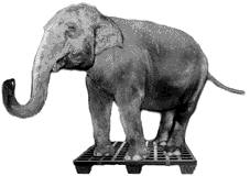 elefante-imagem-animada-0410