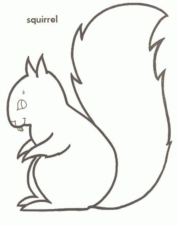 desenho-colorir-esquilo-imagem-animada-0011