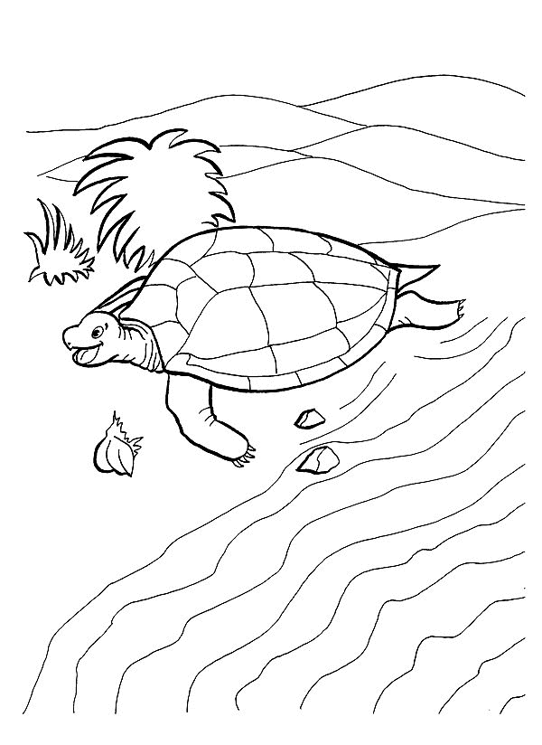 desenho-colorir-tartaruga-imagem-animada-0008