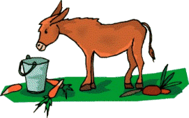 burro-imagem-animada-0086