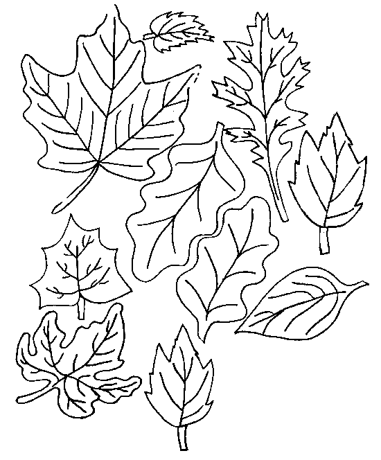 desenhos para colorir folhas imagens animadas gifs animados