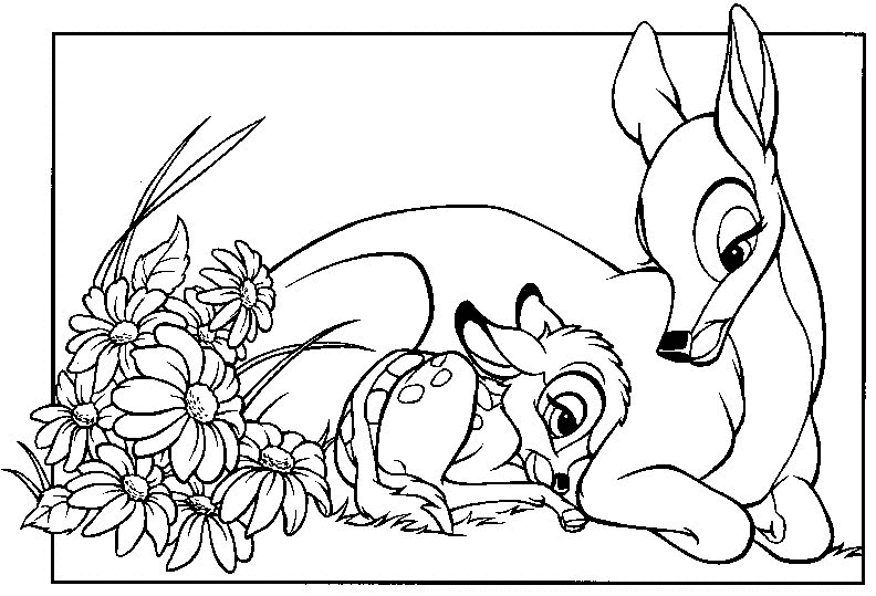 desenho-colorir-bambi-imagem-animada-0014