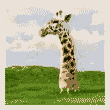 girafa-imagem-animada-0061