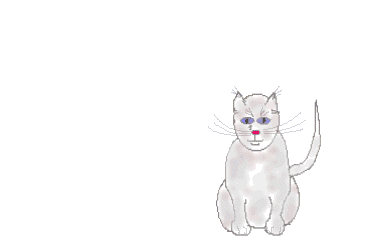 gato-imagem-animada-0499