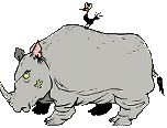 rinoceronte-imagem-animada-0008
