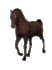 cavalo-imagem-animada-0226