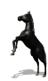 cavalo-imagem-animada-0247