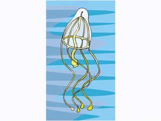 agua-viva-e-medusa-imagem-animada-0016