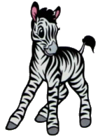 zebra-imagem-animada-0019