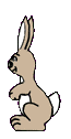 coelho-imagem-animada-0173
