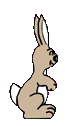 coelho-imagem-animada-0174