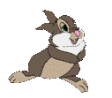 coelho-imagem-animada-0177