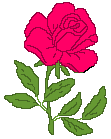 rosa-imagem-animada-0169