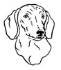 dachshund-imagem-animada-0056