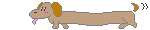 dachshund-imagem-animada-0058