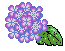 flor-imagem-animada-0343.gif