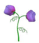 flor-imagem-animada-0448.gif