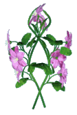 flor-imagem-animada-0455.gif