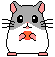 hamster-imagem-animada-0144