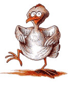 galinha-imagem-animada-0141