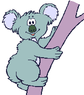 coala-imagem-animada-0019