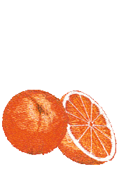 laranja-imagem-animada-0057